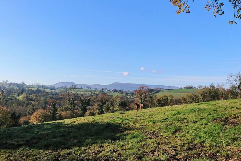 Laraghson House Guest House Enniskillen Ngoại thất bức ảnh