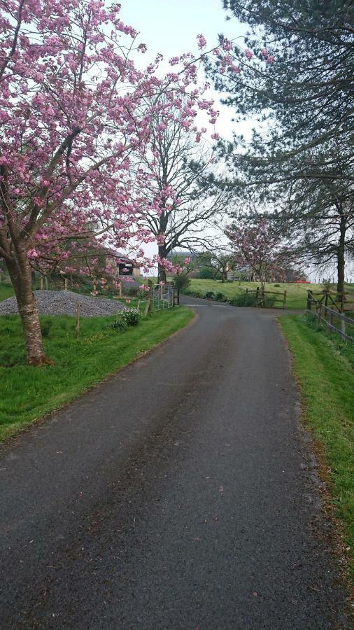 Laraghson House Guest House Enniskillen Ngoại thất bức ảnh